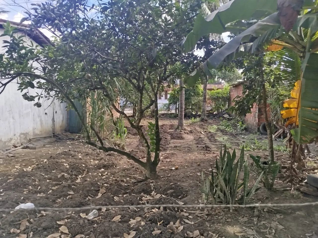 Terreno  - Foto 4