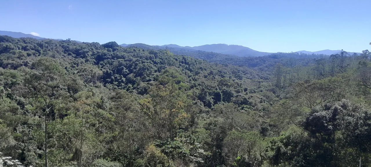 Chácara Com Água Nos Fundos Em Arujá - Foto 3