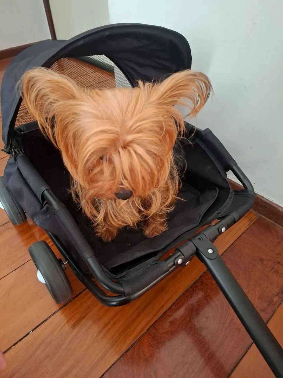 Carrinho de passeio para pets - Foto 2