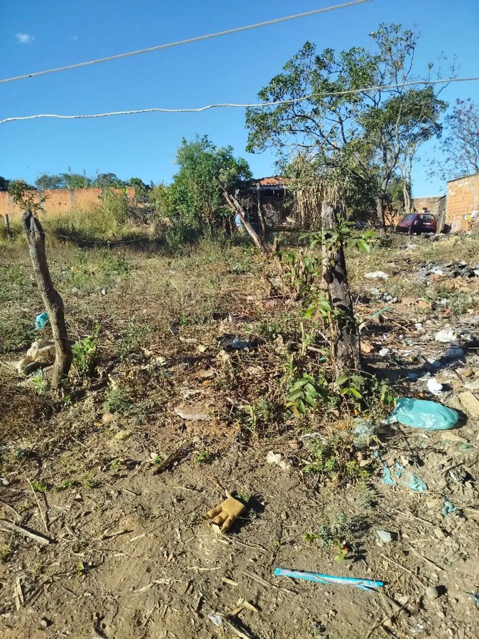 Lote - Foto 3