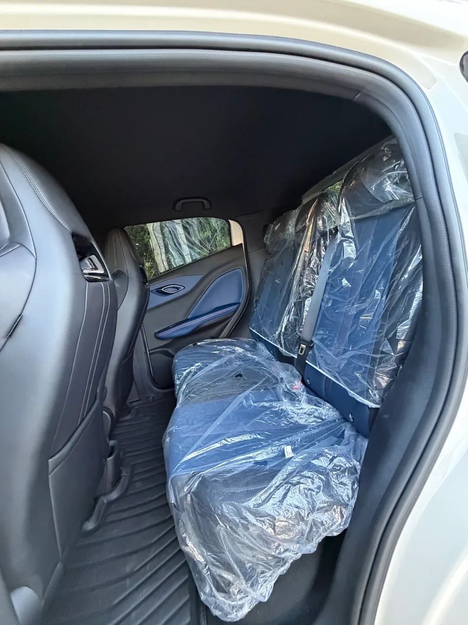 BYD Dolphin Mini (Elétrico) 2027 - Foto 4