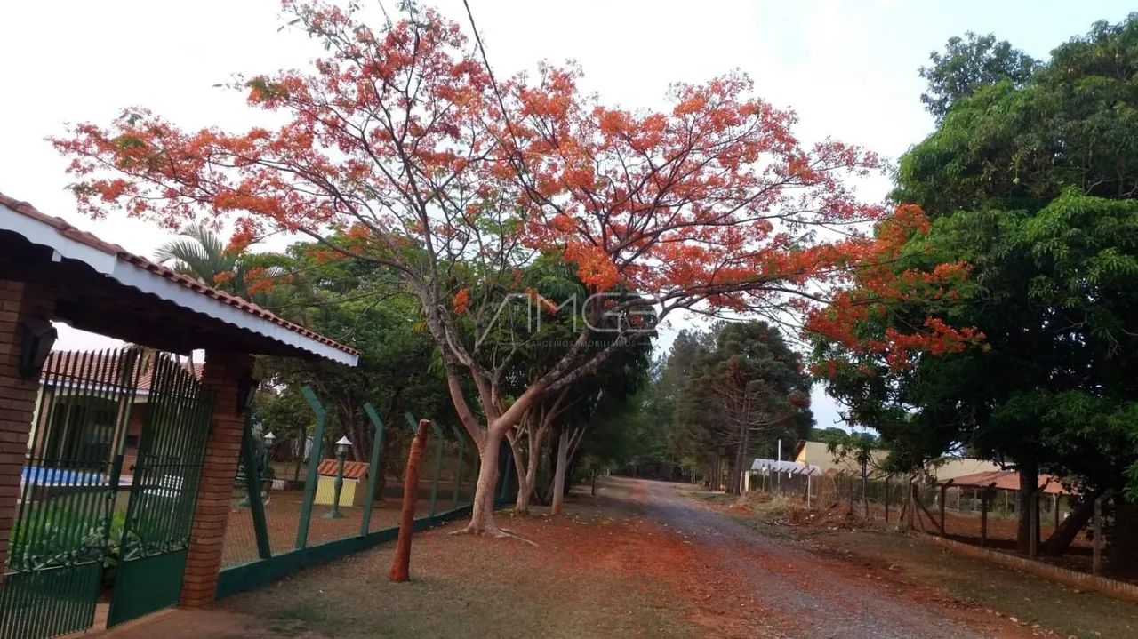 Chácara com 1.500m² á Venda em Cosmópolis - Foto 4