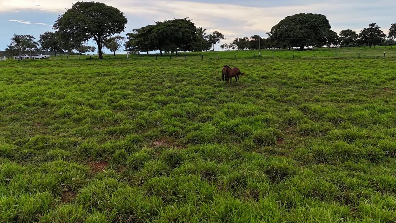 Linda Fazenda Pronta pra mora  - Foto 3