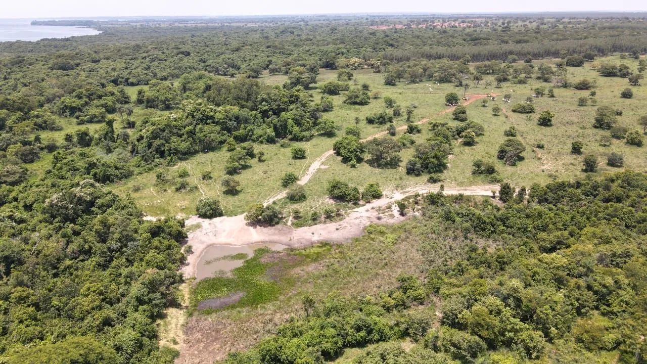 Sitio em Três Lagoas  - Foto 3