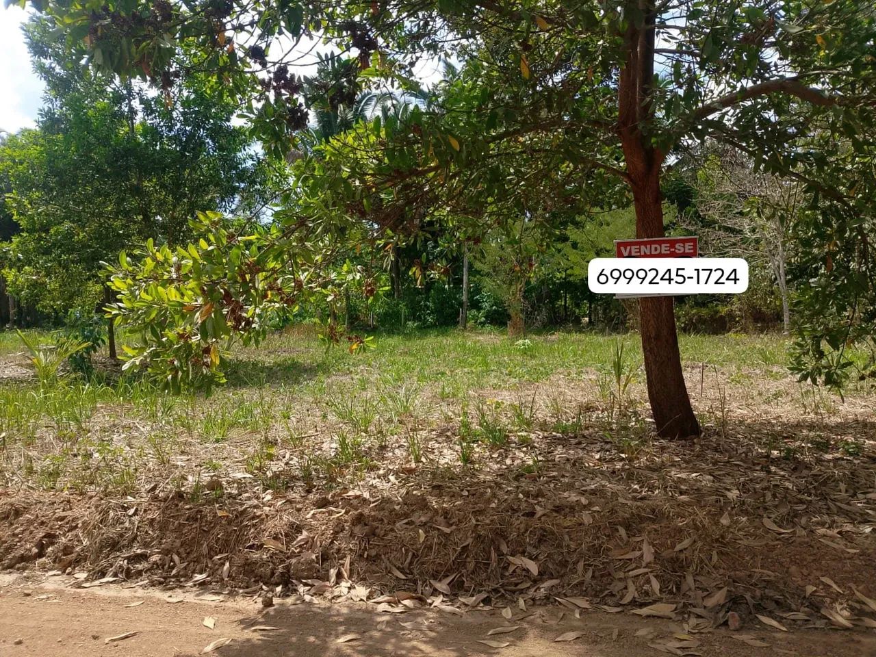 Vende-se  - Foto 2