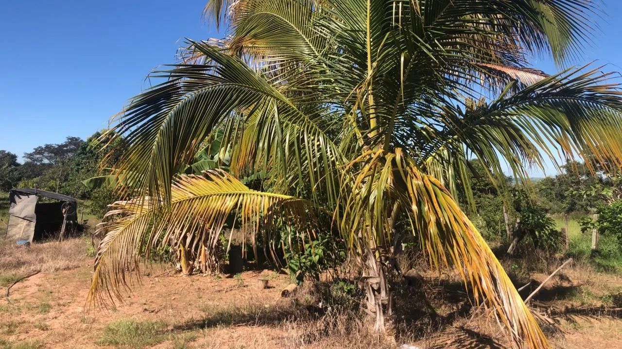 SITIO NA REGIÃO DE PRATA MINAS GERAIS 