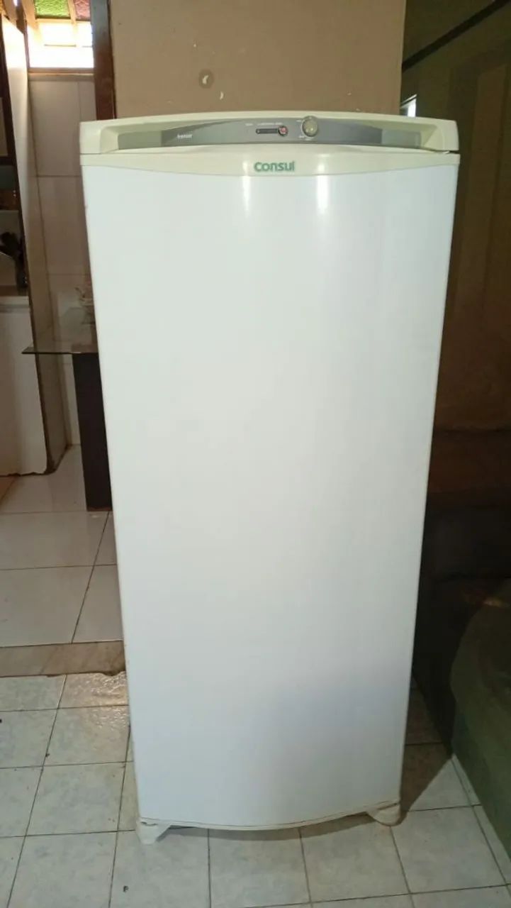 Frezzer vertical  - Foto 2