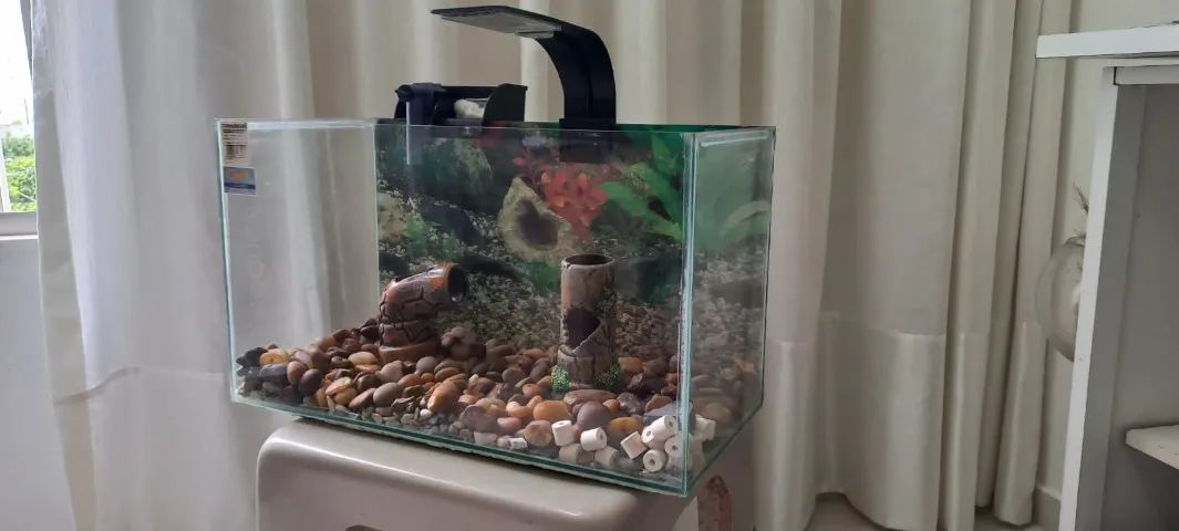Aquário 45 x 25 x 21 - Foto 2