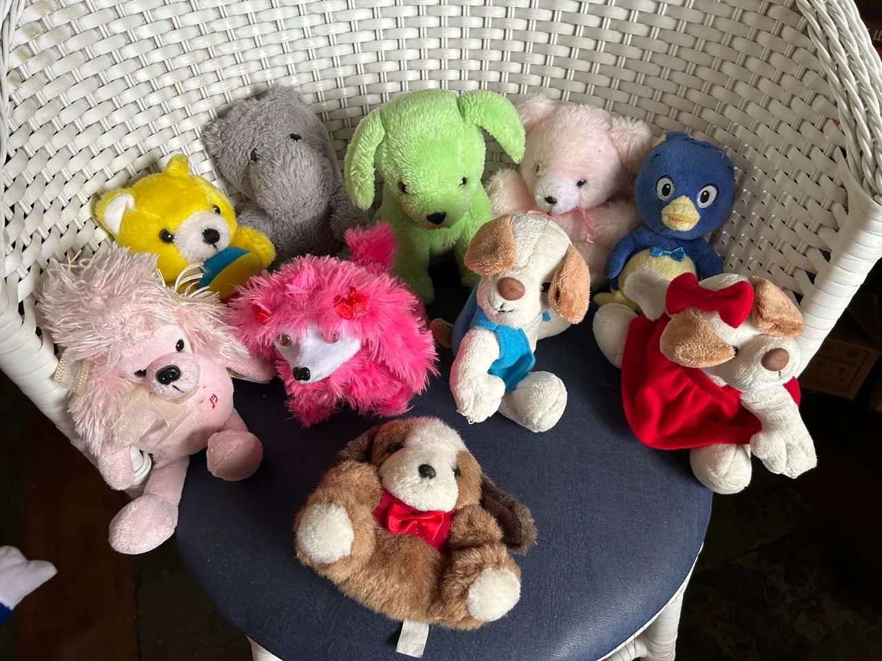 Lote de urso