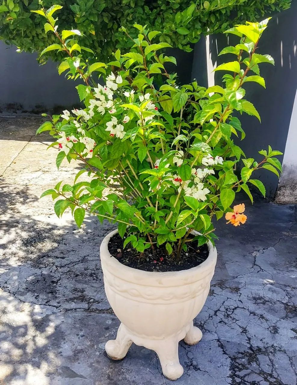 Vendo  - Foto 2