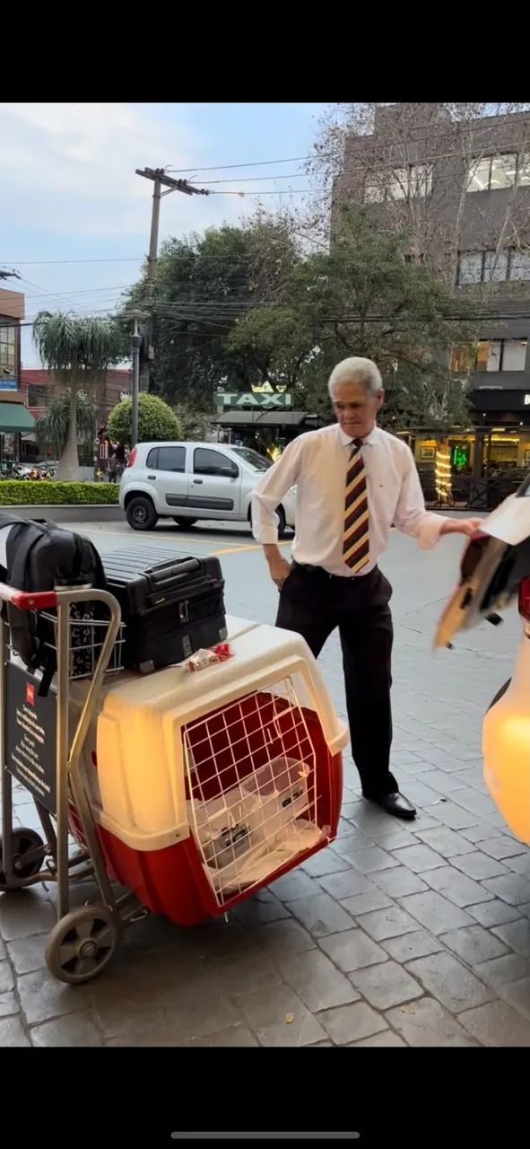 Caixa de transporte para cachorro   - Foto 5