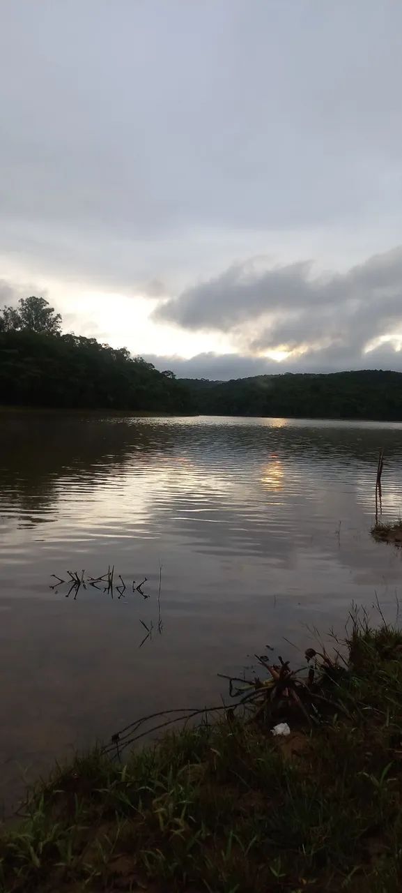 Chácara  - Foto 5