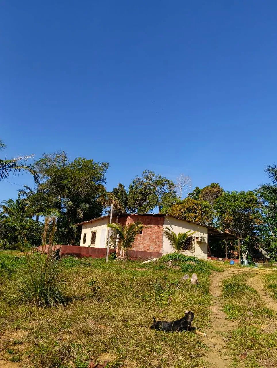 Vendo casa tipo chácara  - Foto 4
