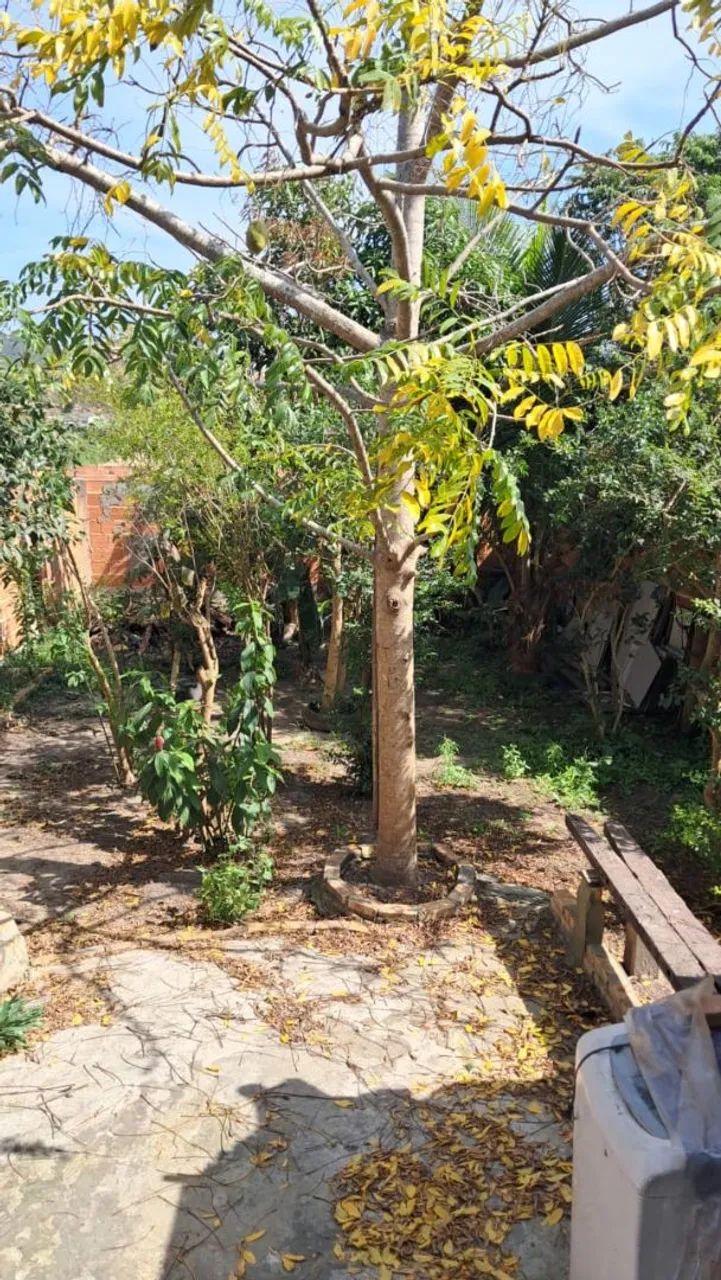 Foto - São Pedro da Aldeia - Recanto das Orquídeas