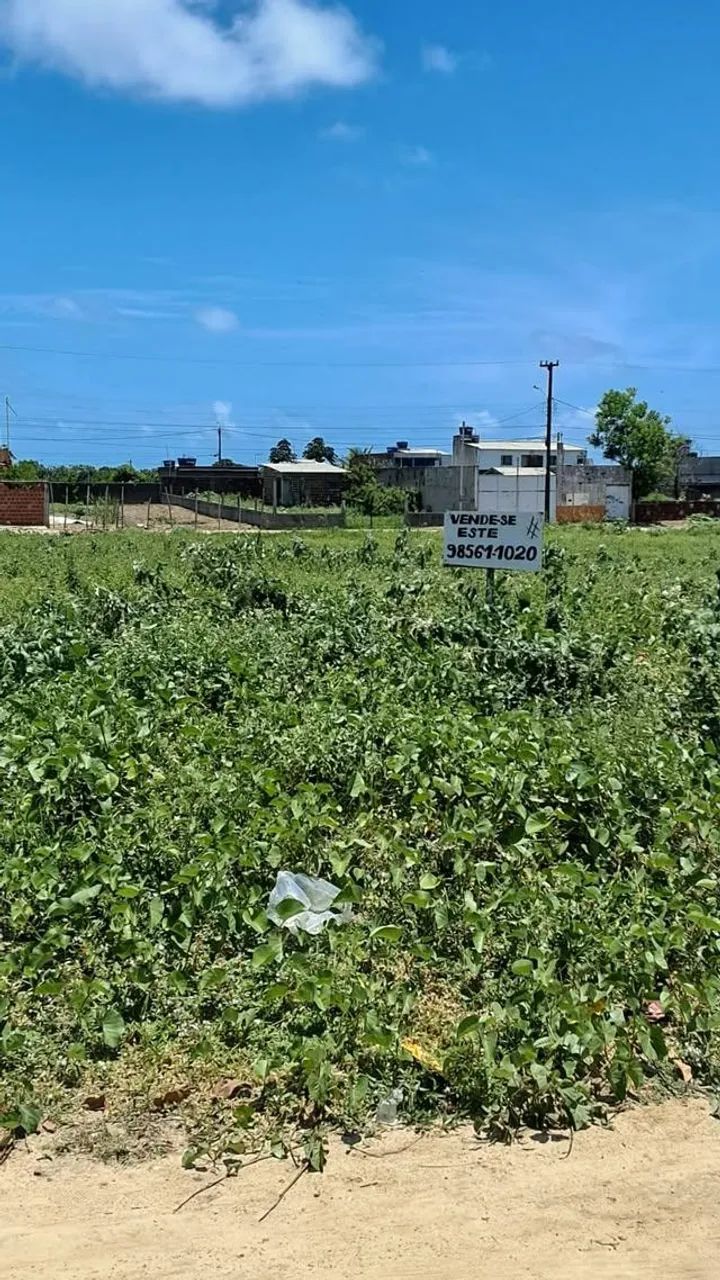 Terreno no Loteamento de Ponta de pedras - Foto 2