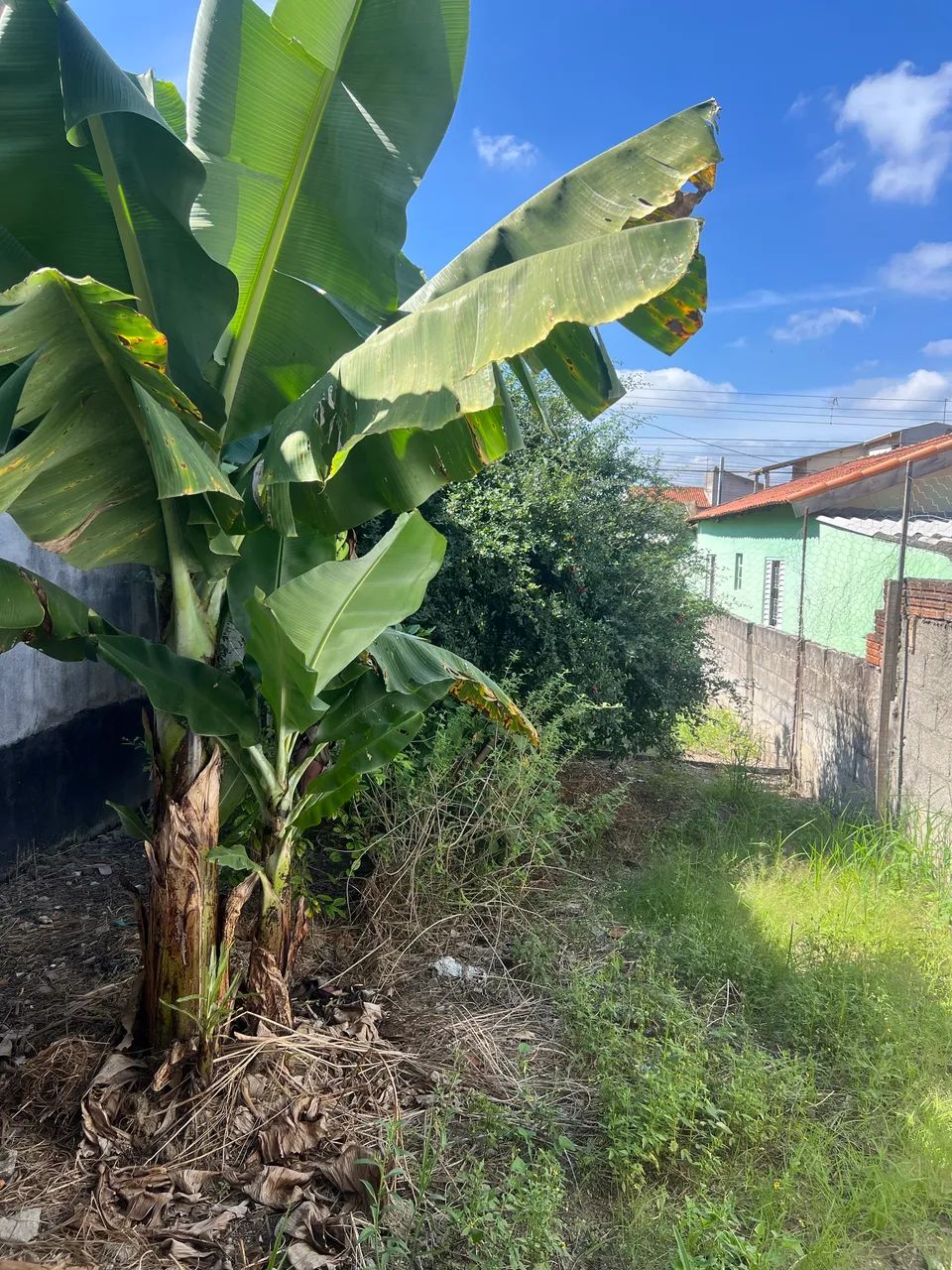 Meio terreno Araretama  - Foto 2