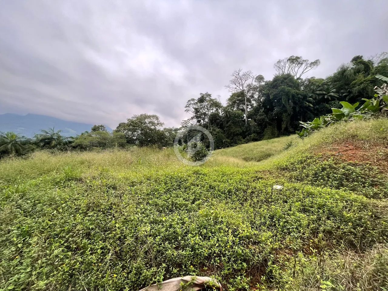 Terreno amplo próximo da FAMEG - Foto 3