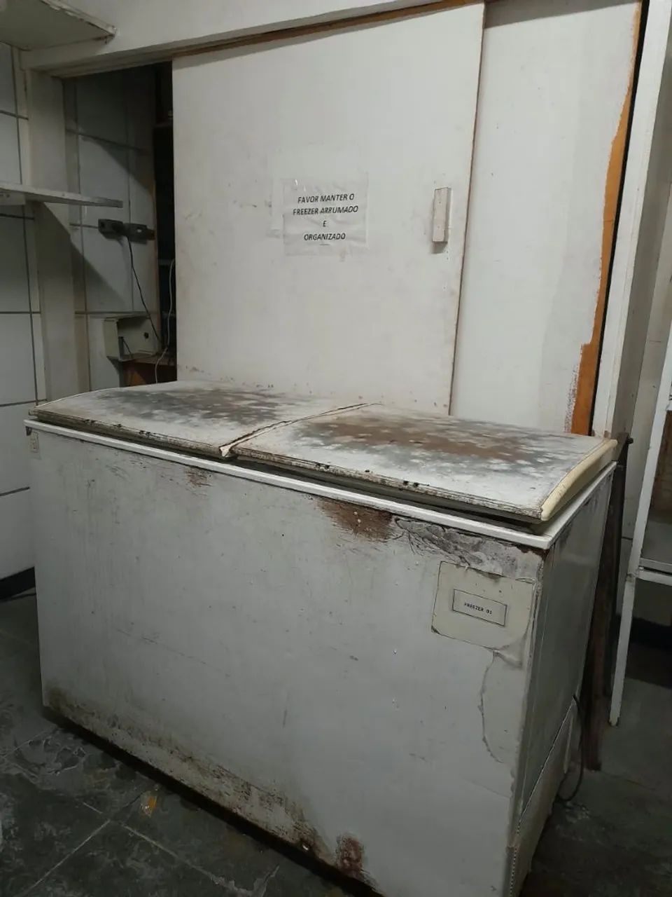 Frizer horizontal 575 