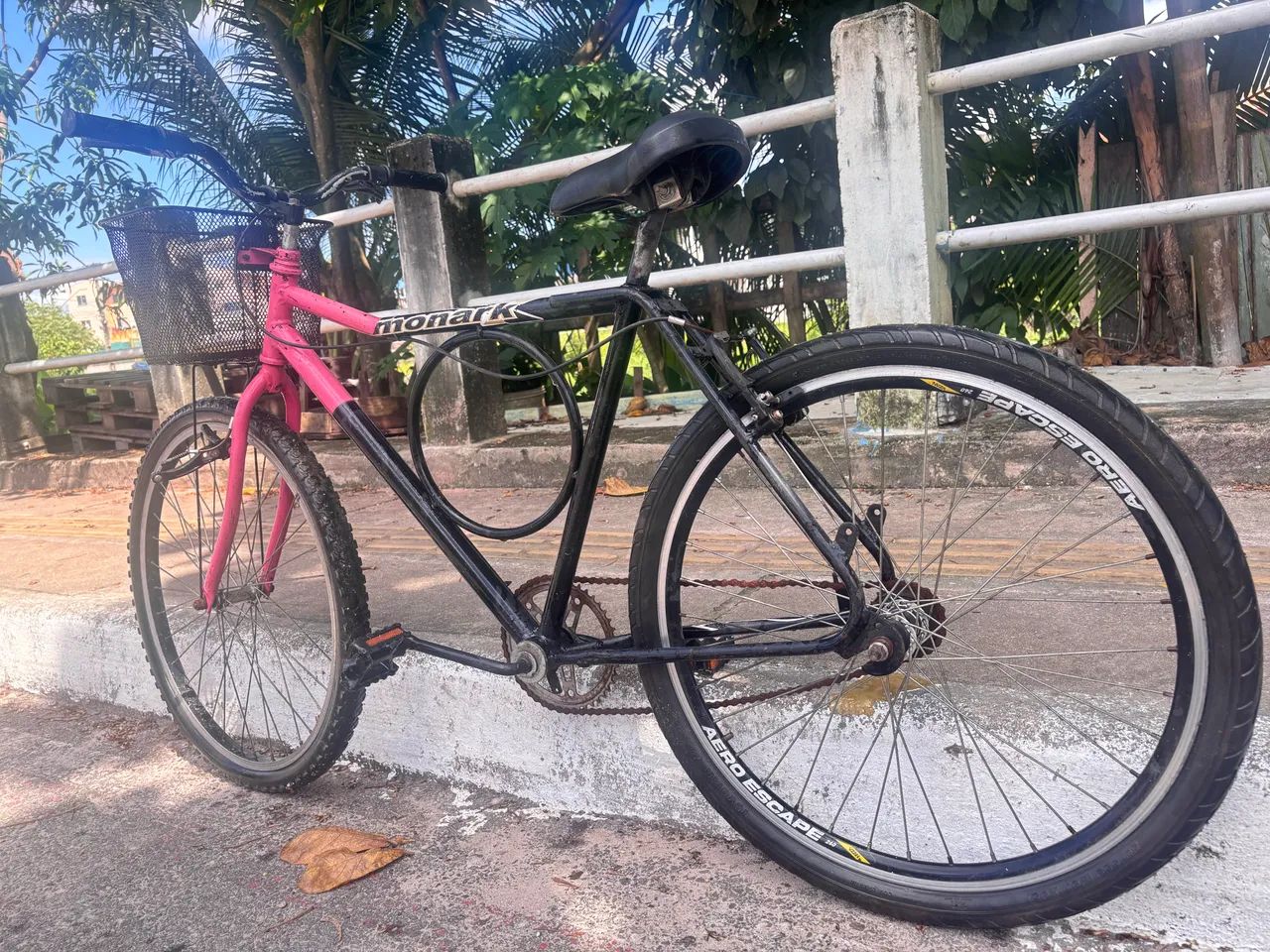 Baike monark - Foto 2