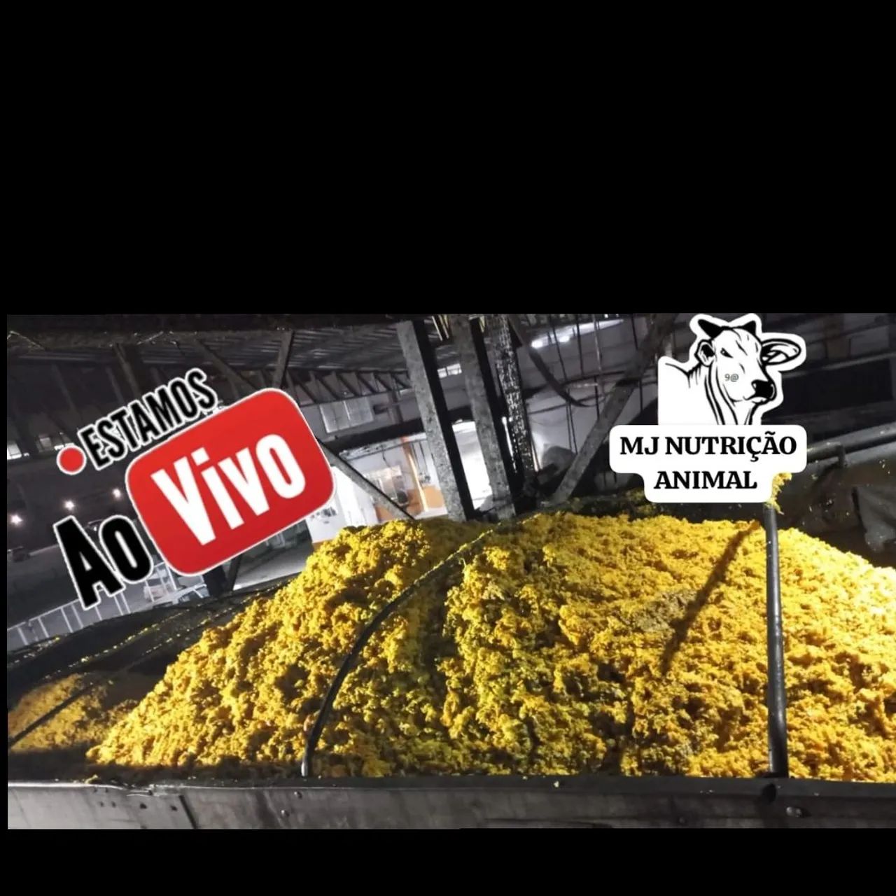 Bagaço de laranja ?