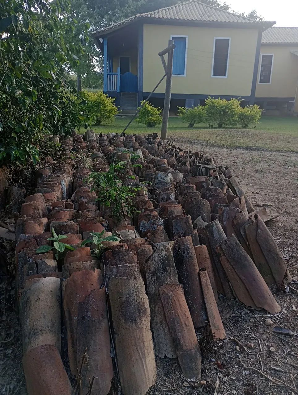 Telhas de barro antigas  - Foto 3