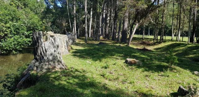 Terreno em Urubici - Foto 9