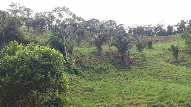 10.000m2 próximo a São paulinho de Viana - Foto 3