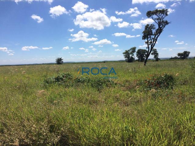 Rural - Não tem bairro - Foto 8