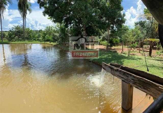 Venda ou Troca por Terra Maior,Chácara 8 alqueires e 25 litros - Bela Vista de Goiás - Foto 16