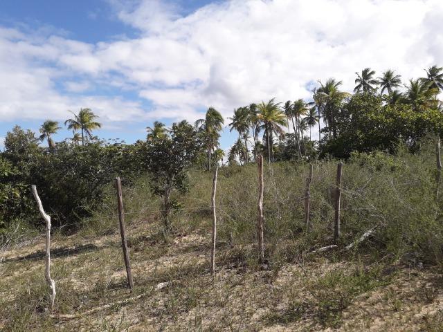 Fazenda 150 tarefas em Conde - Foto 6