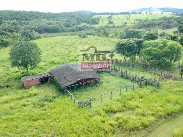 Fazenda 30 alqueires ( 145,20 ha ) Guapó-GO soja e pecuária - Foto 8