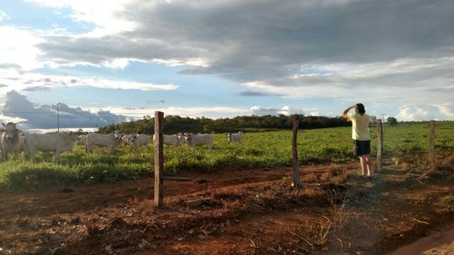 Fazenda beira do lago a melhor da região - Foto 8
