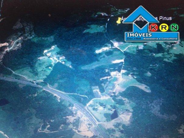 Sítio a Venda no bairro Área Rural de Campo Largo - Campo Largo, PR - Foto 5