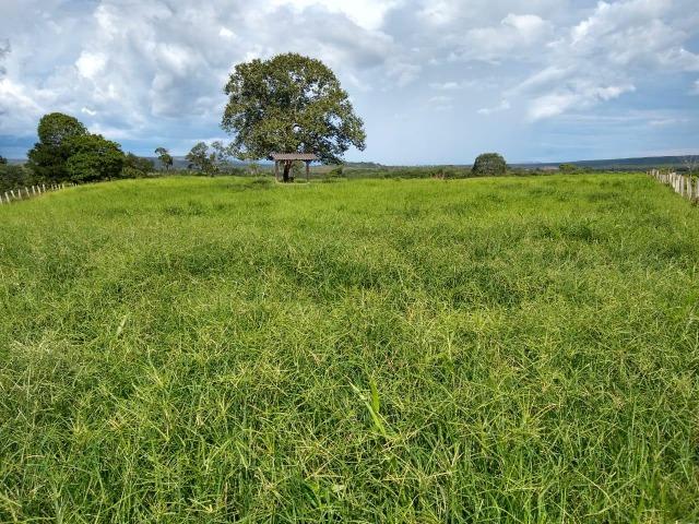 Fazenda de 216 alqueires 1.045,44 hectares- Miracema do Tocantins-TO - Foto 14