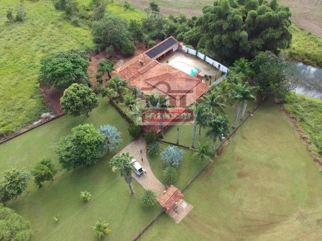 Fazenda 30 alqueires ( 145,20 ha ) Guapó-GO soja e pecuária - Foto 5
