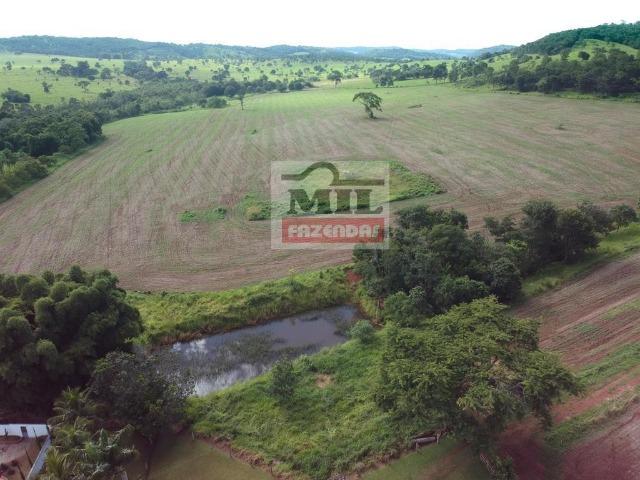 Fazenda 30 alqueires ( 145,20 ha ) Guapó-GO soja e pecuária - Foto 9