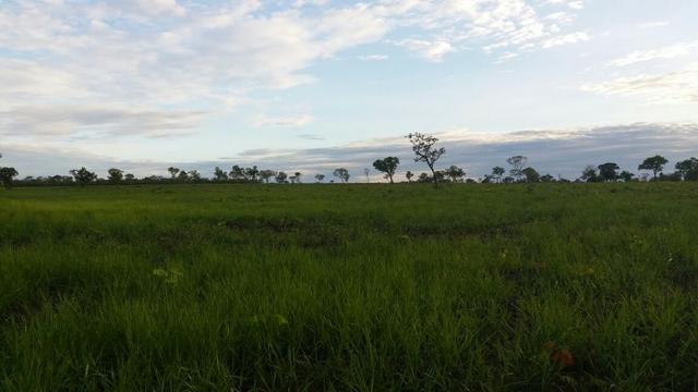 Oportunidade Fazenda 24 Alqueires ( 116 hectares ) Ribeirão Cascalheira-MT - Foto 3