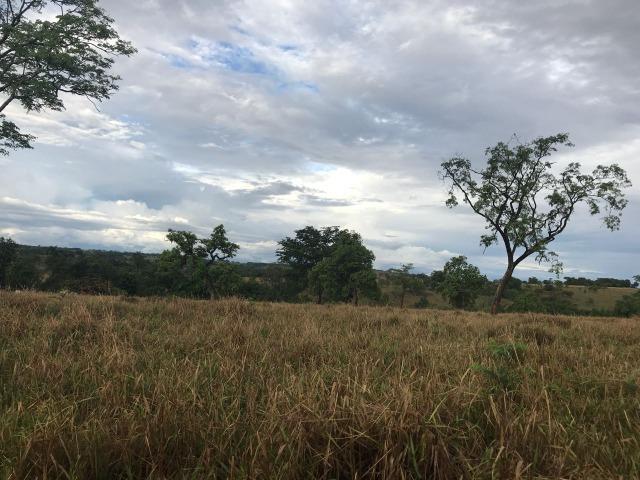 Fazenda plana e rica em água, 24 Alqueires (116.16 ha ) Bela Vista de Goias - Foto 9