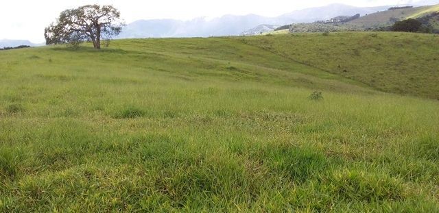 Vendo Sitio em Pouso Alto - MG - Foto 7