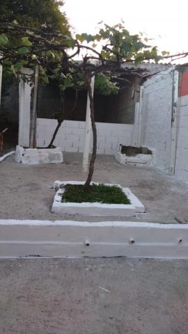 Casa para alugar com 3 dormitórios em Cidade jardim, Jacarei cod:L6367 - Foto 12
