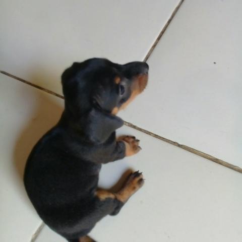 Vendo - Foto 3