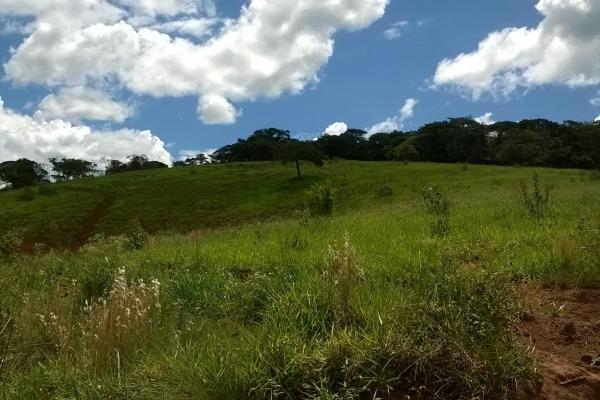 Vendo- Sítio no Sul de Minas com 26 hectares!! - Foto 4