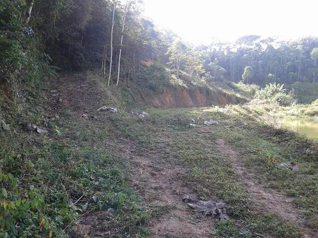Sítio em Domingo martins - Foto 9