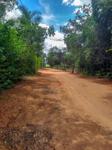 Chácara em Bela Vista - Foto 4