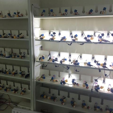 Super led c6 - Foto 2