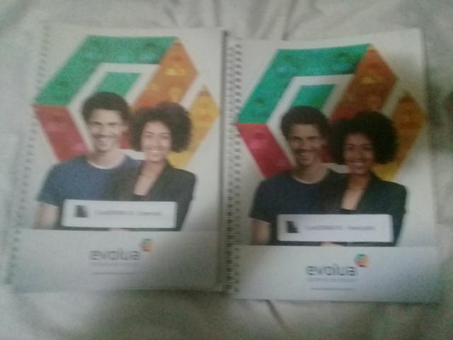 Livros e apostilas de programacao São 10 livros e 6 apostilas - Foto 6