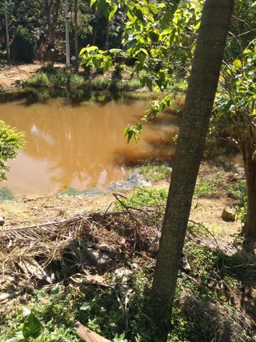 Vendo ou troca sítio santa Maria Jetibá - Foto 20