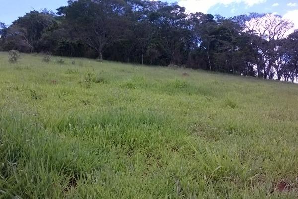 Vendo- Sítio no Sul de Minas com 26 hectares!! - Foto 9