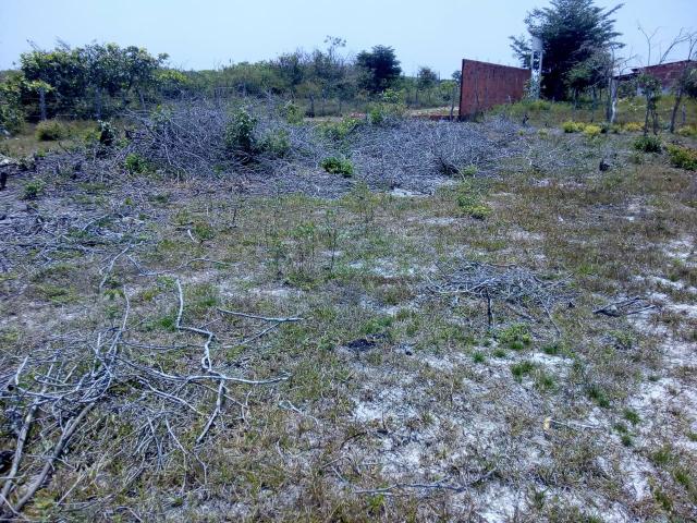 Vende-se terreno em Barreirinhas:MA - Foto 6