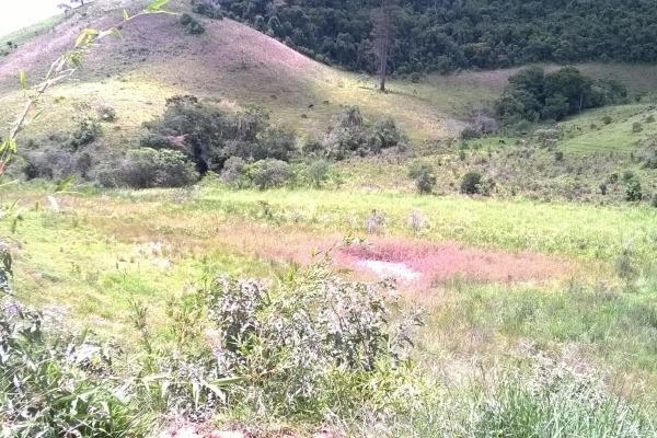 Vendo- Sítio no Sul de Minas com 26 hectares!! - Foto 11